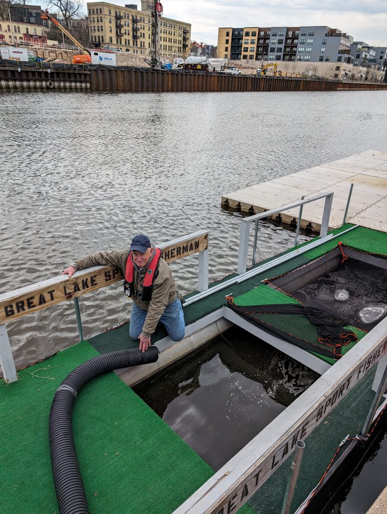 A club volunteer working at the Great Lakes Sport Fishermen net pens